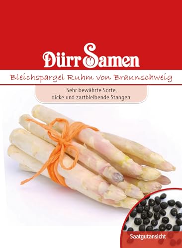 Spargel Samen Weißer Bleichspargel Braunschweiger Spargelsamen ca. 200 Samen Saatgut Gemüse Garten Dürr Samen