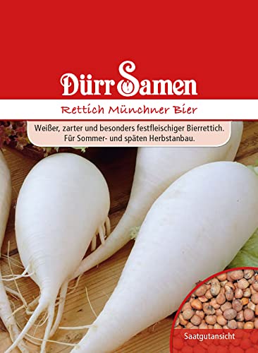 Rettich Samen Münchner Bier Weißer Rettichsamen Saatgut ca 500 Korn Garten Hochbeet Kübel Gemüse Dürr Samen