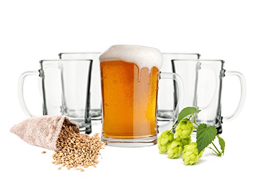 Sendez 6 Biergläser Set 0,5L Bierseidel Bierkrüge Bierglas Bierkrug mit Henkel Bier Pils Gläser