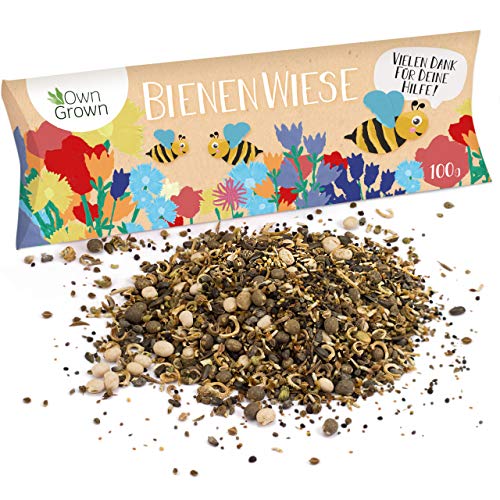 Bienenwiese Blumenmischung: 100g Premium Bienen Saatgut für bunte Bienenweide, Bienen und Hummelmagnet - bienenfreundliche Blumensamen Mischung ein- und mehrjährig - Blumenwiese Samen von OwnGrown