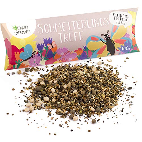 Schmetterlingstreff Blumenmischung: 100g Premium Schmetterling Blumensamen Saatgut - Insektenfreundliches Bienenweide Saatgut, Blumenwiese Samen mehrjährig und einjährig - Wildblumensamen von OwnGrown