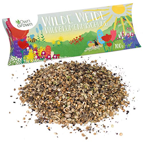 Wilde Weide: 100g Premium Wildblumensamen Mischung mehrjährig und einjährig - Insektenfreundliche Blumenwiese Samen für Bienen - Blumensamen für eine bunte Bienenwiese - Wildblumen Samen von OwnGrown