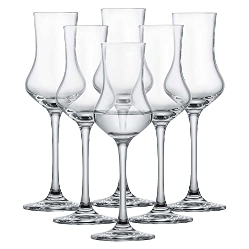 SCHOTT ZWIESEL Digestifset Classico (6er-Set), klassische Schnapsgläser mit Stiel, spülmaschinenfeste Tritan-Kristallgläser, Made in Germany (Art.-Nr. 120518)