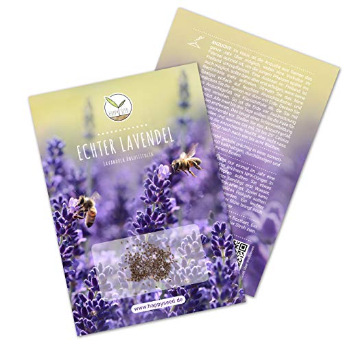 300x Lavendel Samen mit hoher Keimrate - Vielseitig einsetzbare Heilpflanze & ideal für Bienen und Schmetterlinge (inkl. GRATIS eBook)