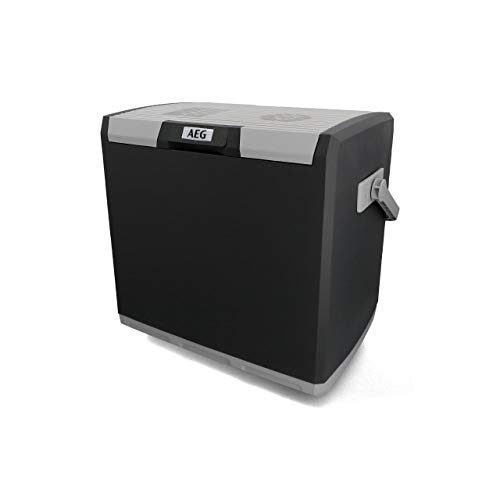 tillvex Kühlbox elektrisch 24L Grau Mini-Kühlschrank 230 V und 12 V für KFZ  Auto Camping kühlt & wärmt ECO-Modus