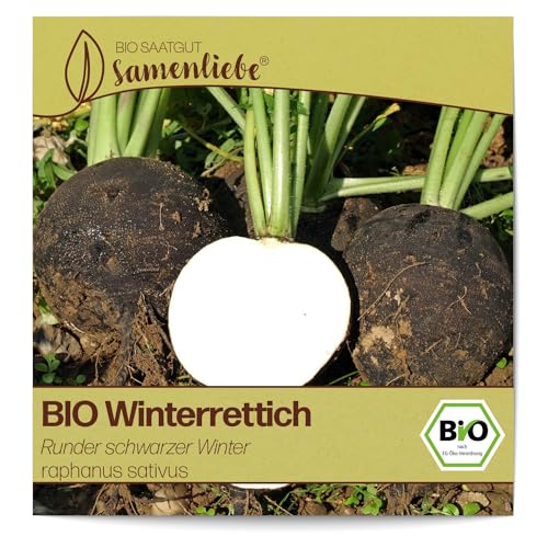 Samenliebe BIO Winterrettich Samen alte Sorte Runder schwarzer Winter scharfer Rettich rundes Wintergemüse schwarz 100 Samen samenfestes Gemüse Saatgut für Gewächshaus Freiland und Balkon