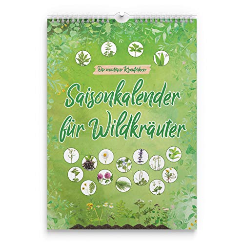 Saisonkalender für Wildkräuter