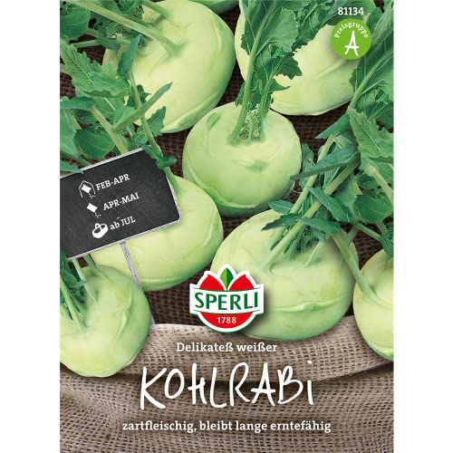81134 Sperli Premium Kohlrabi Samen Delikateß Weißer | Aromatisch Zart | Langes Erntefenster | Kohlrabi Saatgut