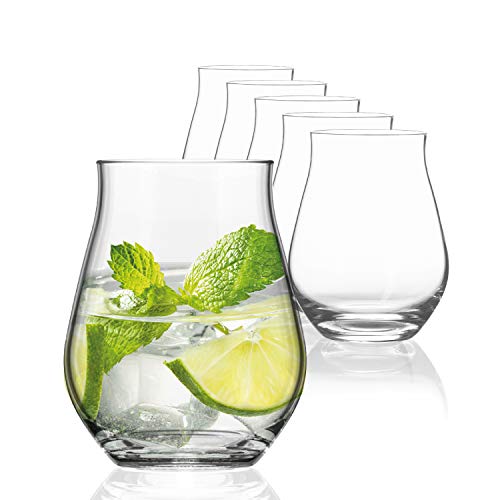 Sahm Sensorik Gin Gläser Set 6 Stück - 420ml Sensorik Gin Tonic Gläser - Tolles Gin Geschenkset