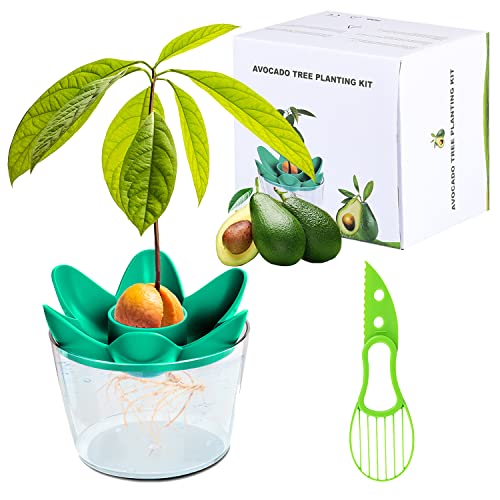 Herefun Avocado Pflanzen Geschenk, Anzuchtsets, Ausrüstung zur Anzucht, Gartenarbeit Avocado Pflanzen Avocado Werkzeug Avocado Pflanzset (mit Schüssel), Garten Geschenk für Mama und Beste Freundin