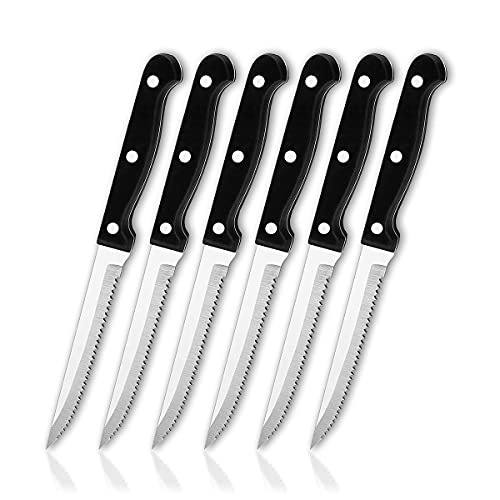 Fleischmesser Set 6-teilig