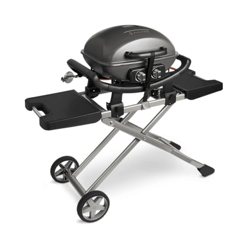 BURNHARD Tragbarer 2-Brenner Gasgrill WAYNE inkl. Rollwagen, 3,5 kW bis zu 300°C Kompaktgrill mit Aludruckguss Brennkammer, Abdeckhaube, Gusseisen Grillrost, 2 Edelstahlbrenner mit Piezozündung