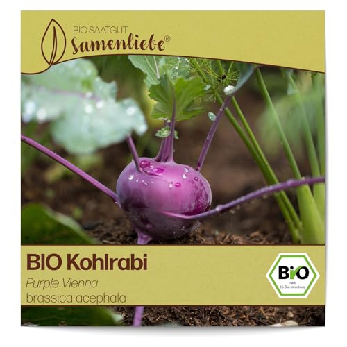 Samenliebe BIO Kohlrabi Samen alte Sorte Purple Vienna leicht nussiger Winterkohlrabi Winterkohl blau lila 200 Samen samenfestes Gemüse Saatgut für Gewächshaus Freiland und Balkon BIO Gemüsesamen