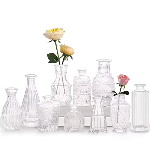 Mini Vasen Set, 10St Kleine Glasvase Vintage Deko Vasen Set Verschiedene Groessen Blumenvase für Tischdeko Mittelstücke, Hochzeitsdekorationen Transparent