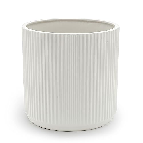 Amazon Basics Rund, Geriffeltes Keramik-Pflanzgefäß, 25.4 cm, Weiß