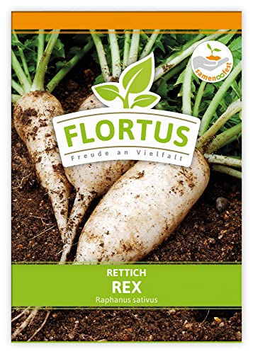 FLORTUS Rettich Rex | Gemüsesamen | Rettichsamen | Samen zur Anzucht für Garten, Balkon, Küche & Fensterbank