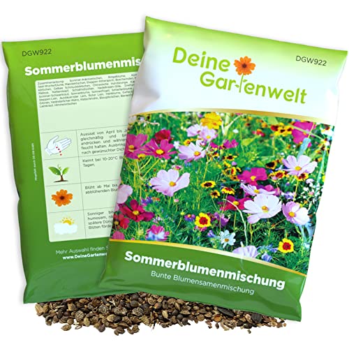 Sommerblumenmischung - 100 g Samen für Sommerblumenwiese - Saatgut für bunte Blumenwiese