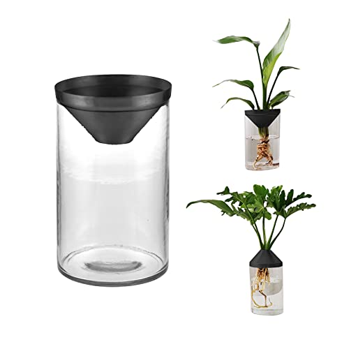 Avocado Baum Blumenvase, Avocado Samen Starter Pflanzgefäß Vase Topf, Glas Avocado Baum Growing Kit, Samen Hydrokulturvase, Glas Anzuchtstation