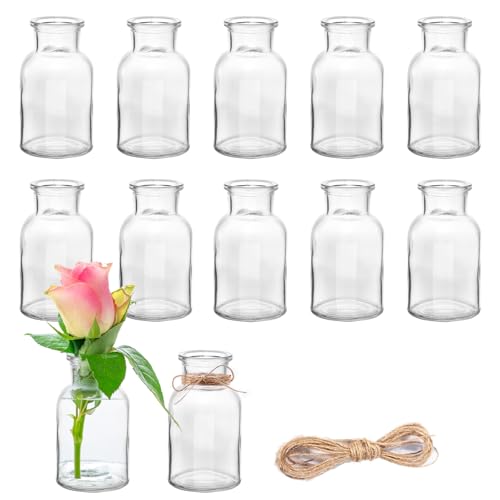 12 Stück Mini Glasvasen, 125ml kleine Väschen mit Juteschnur, Blumenvasen Tischvasen Glasvasen Dekoflaschen Glasflaschen, Glasfläschchen für Tischdeko Mittelstücke, Hochzeitsdekorationen
