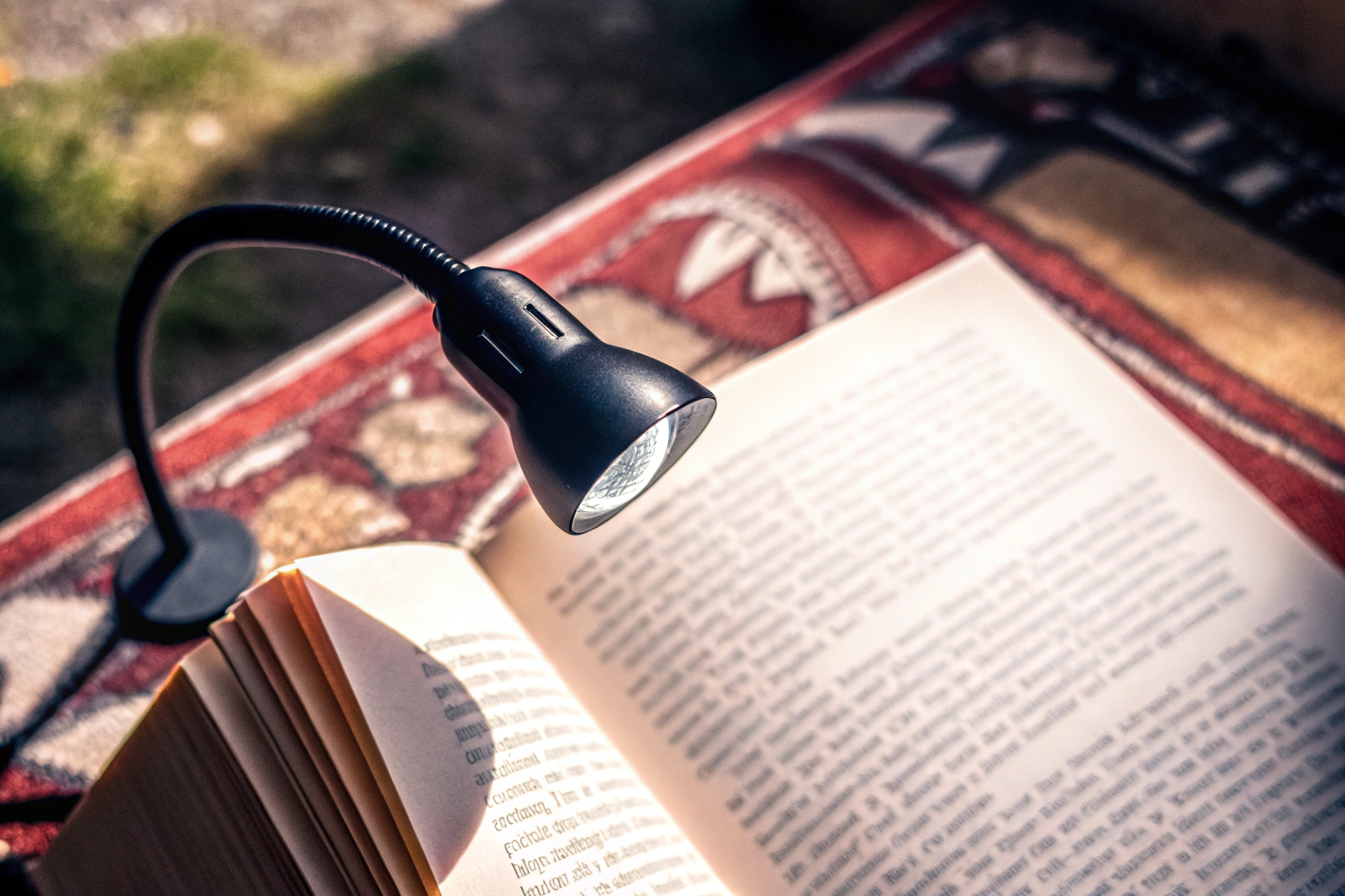 Gritin Leselampe an einem Buch