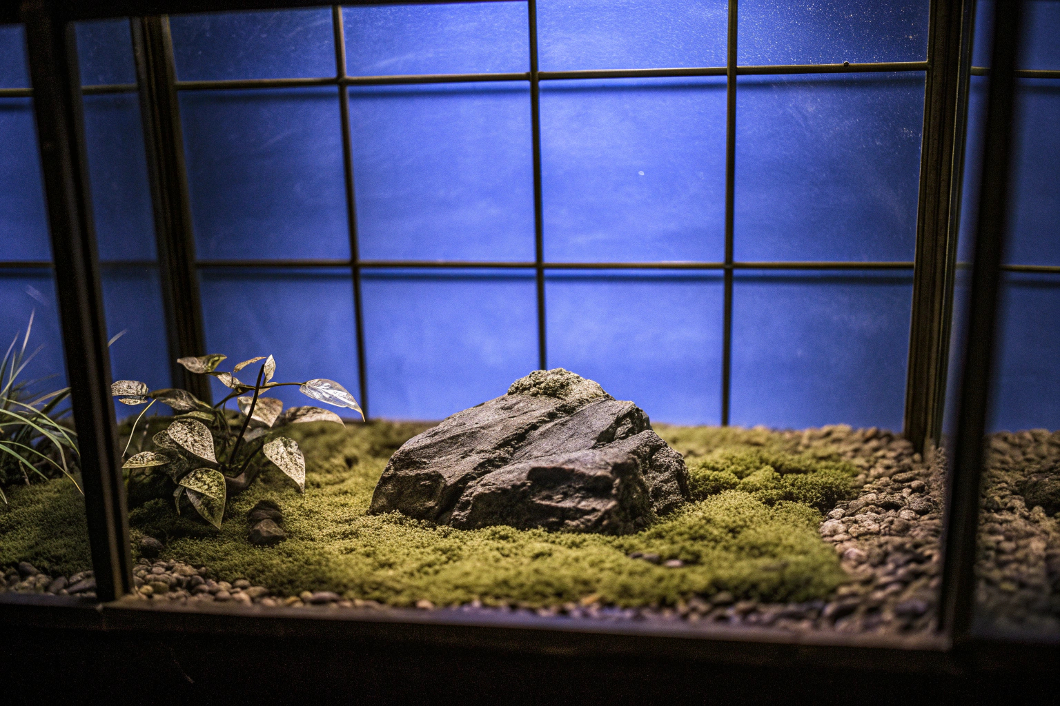 Fossil Rock im Terrarium