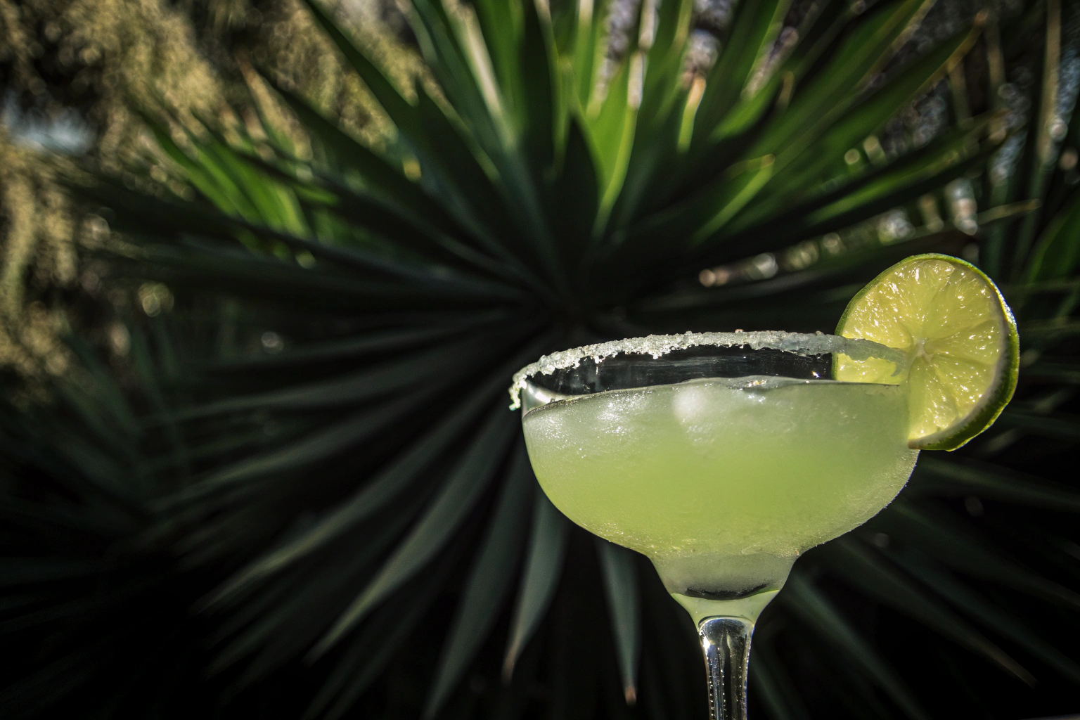 Frozen Margarita mit Limettenscheibe
