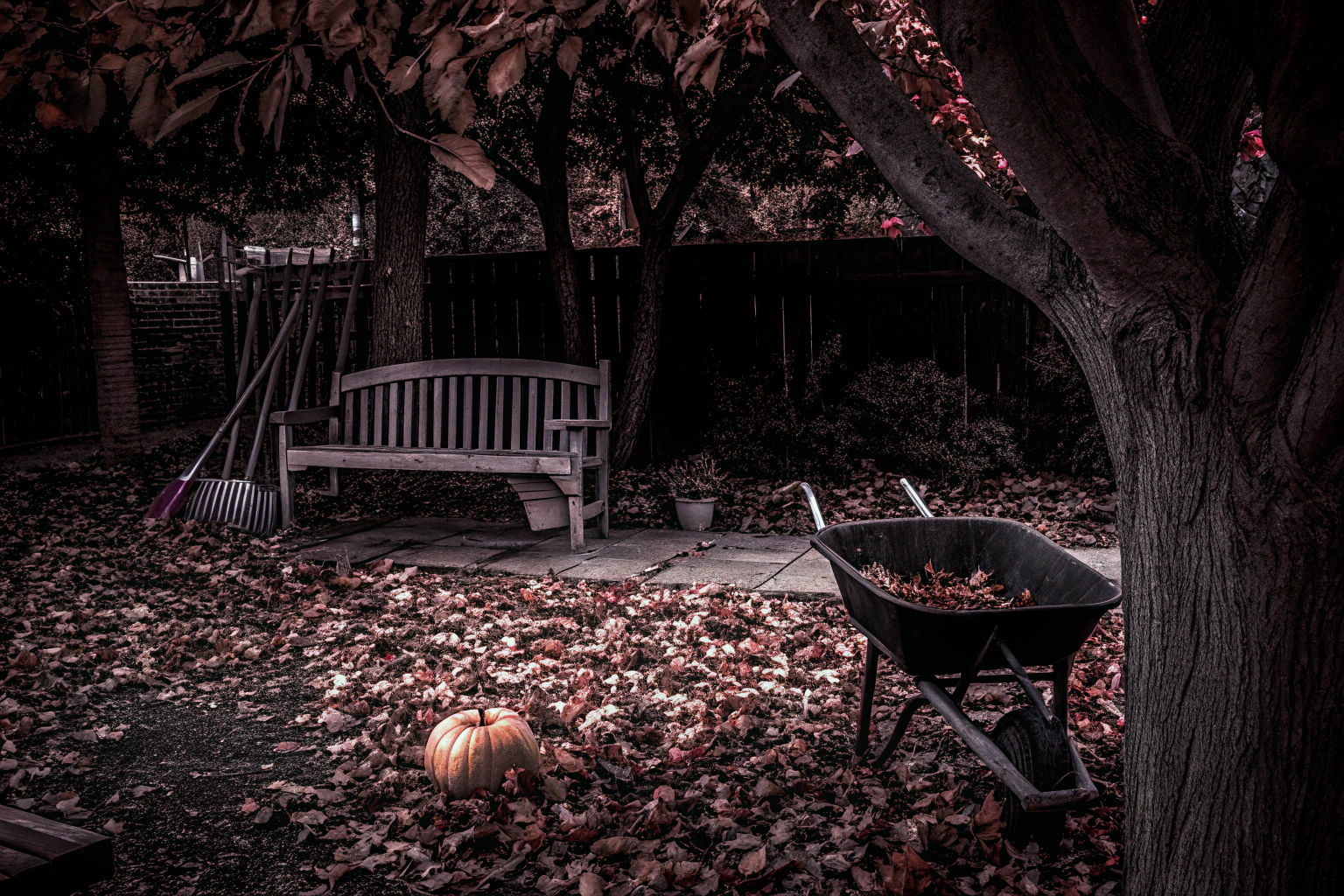 Herbstlicher Garten