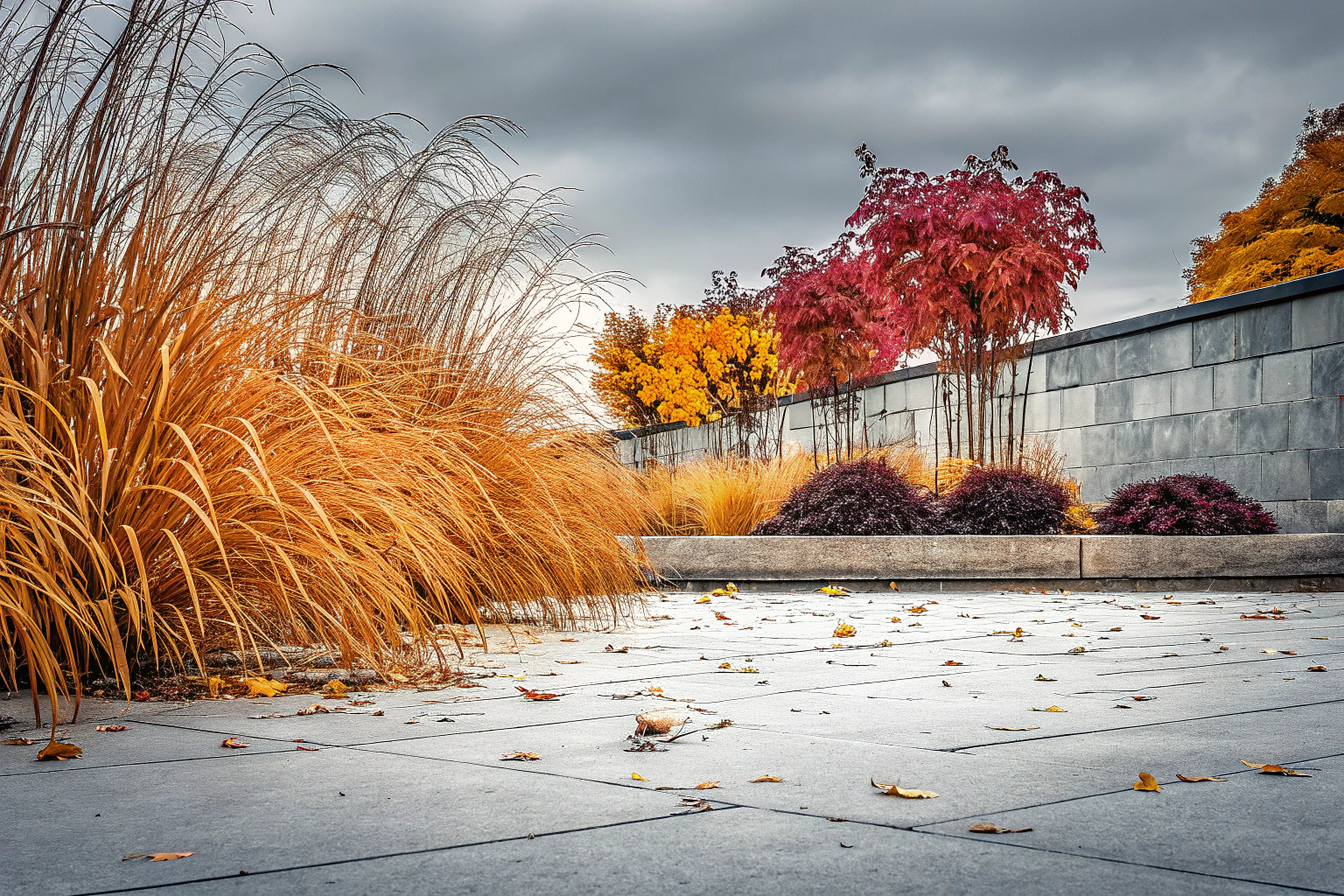 Buntes Herbstlaub und Ziergräser im Garten