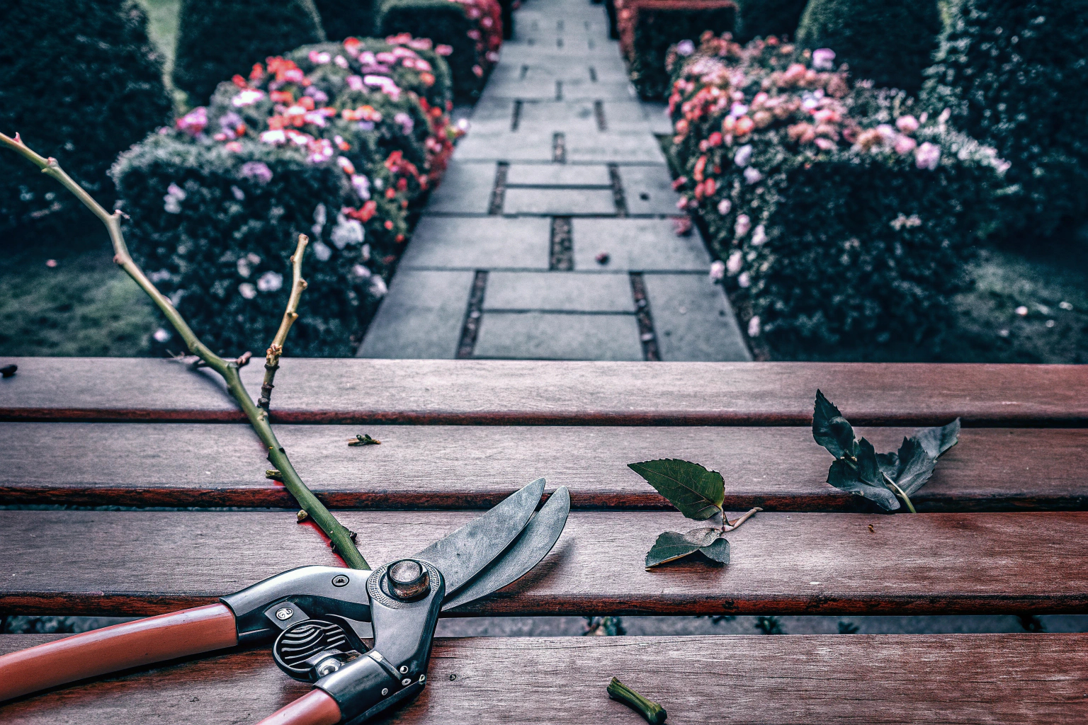 Gartenschere im Einsatz