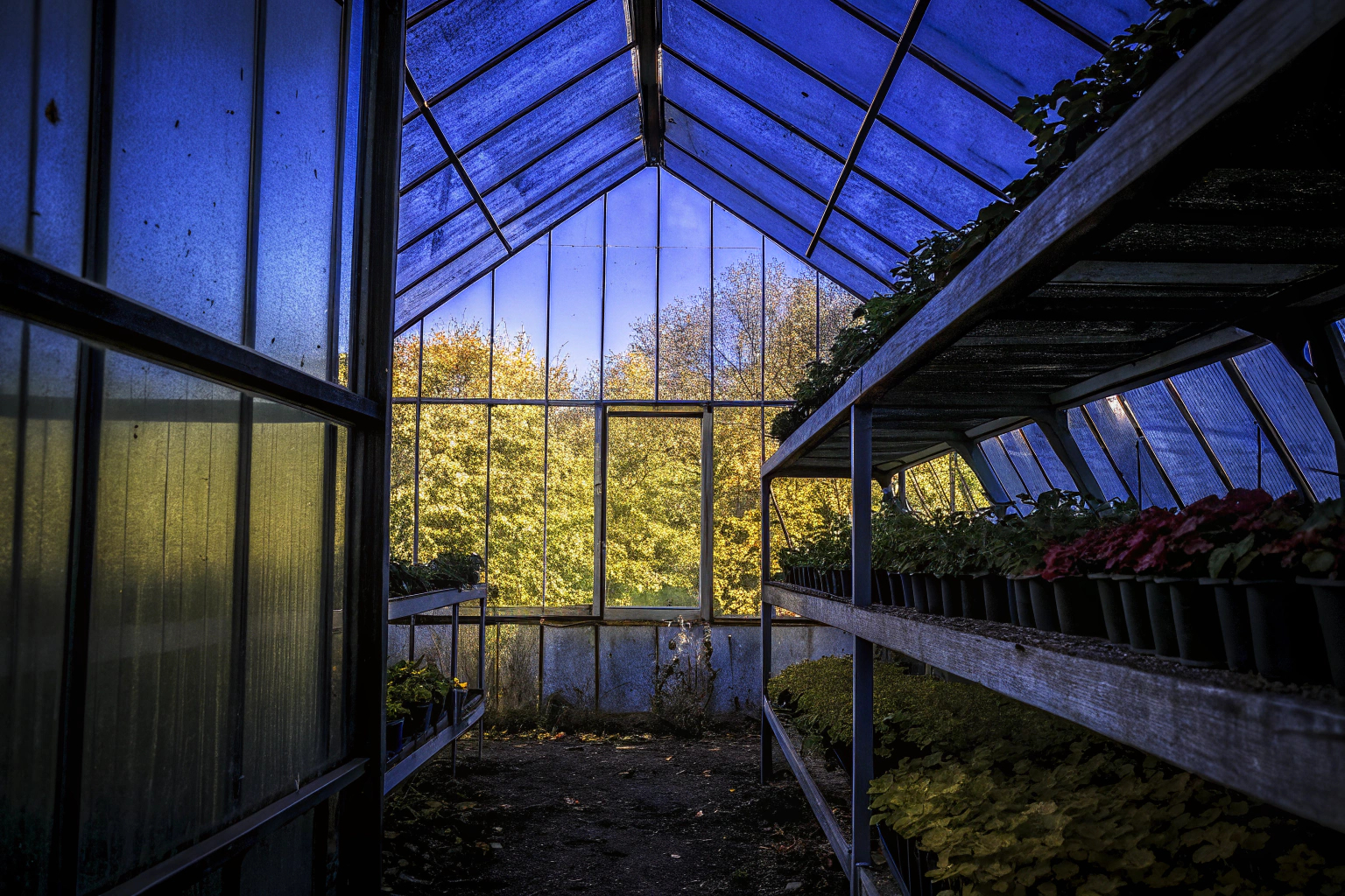 Herbstliches Gewächshaus