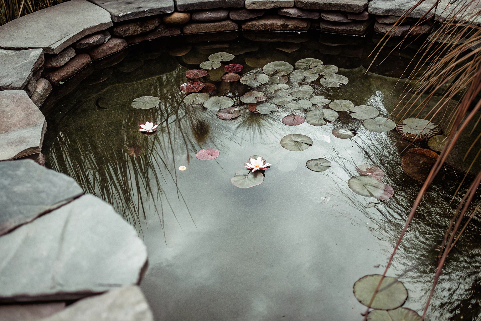 Kleiner selbstgebauter Gartenteich