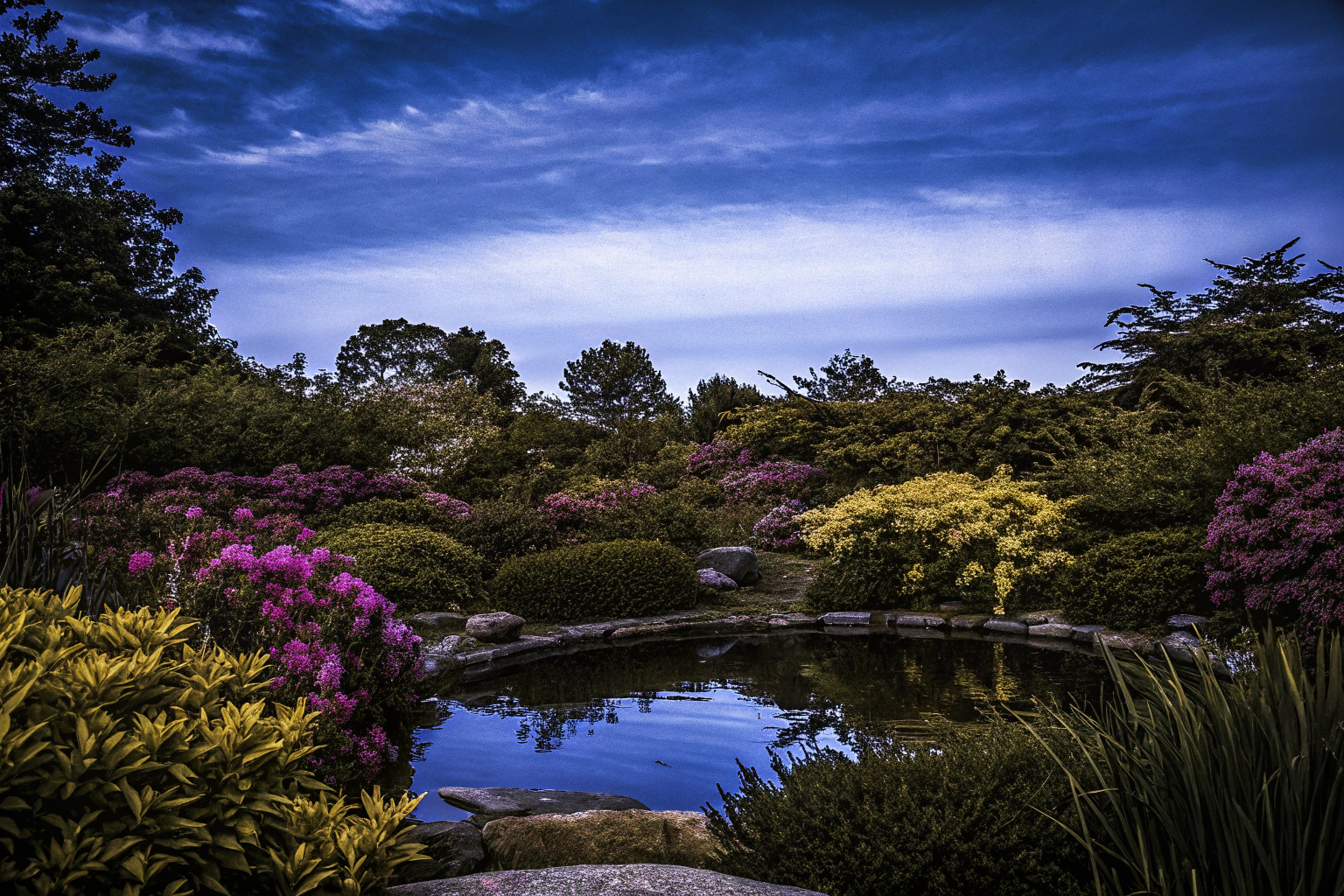 Naturnaher Garten