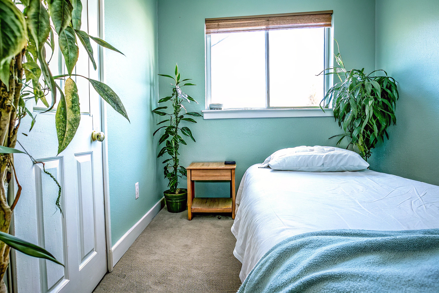 Feng Shui Harmonie F r Dein Zuhause