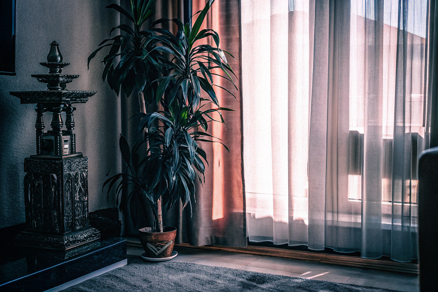 Feng Shui Dekoration