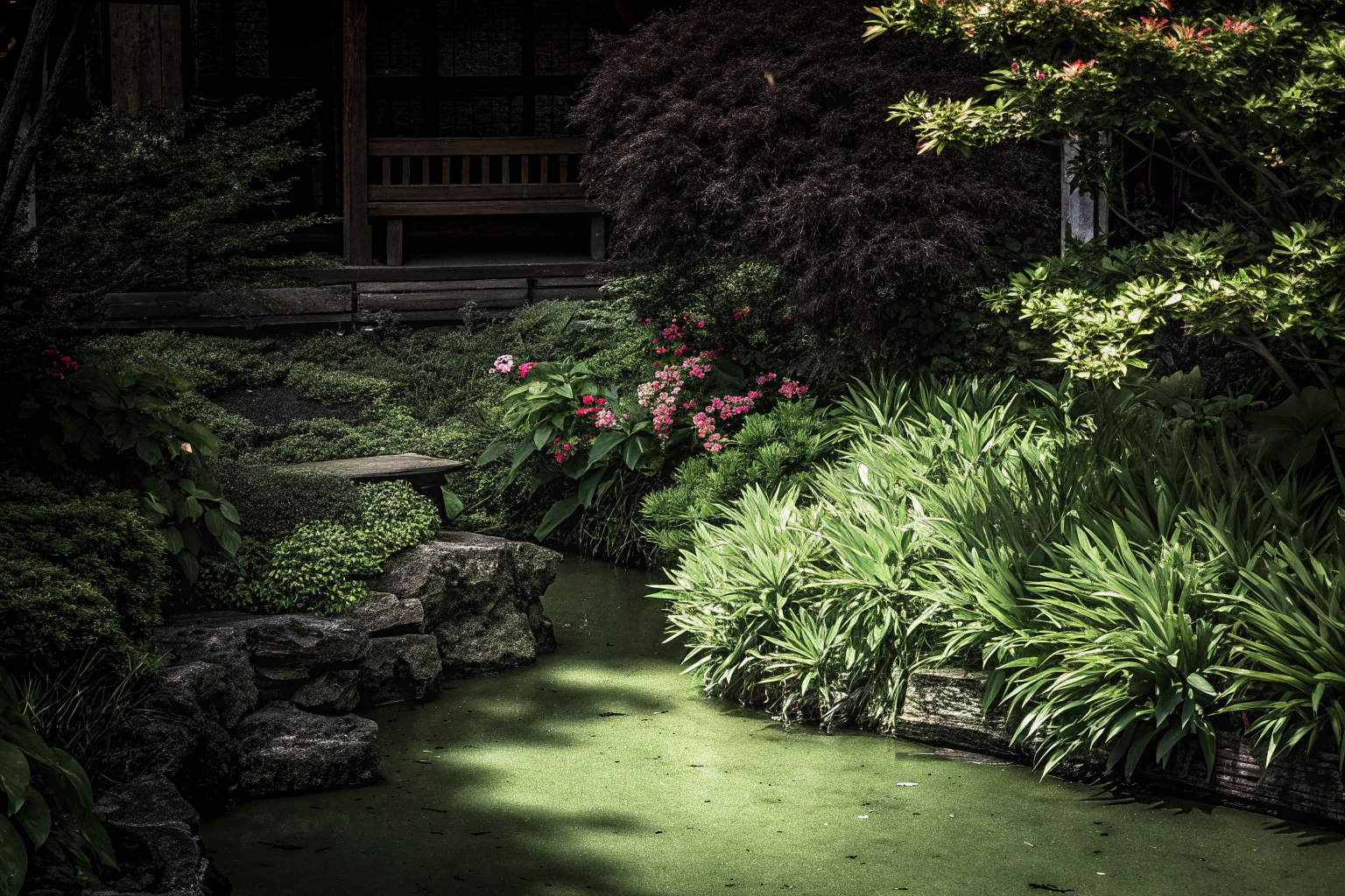 Feng Shui Garten