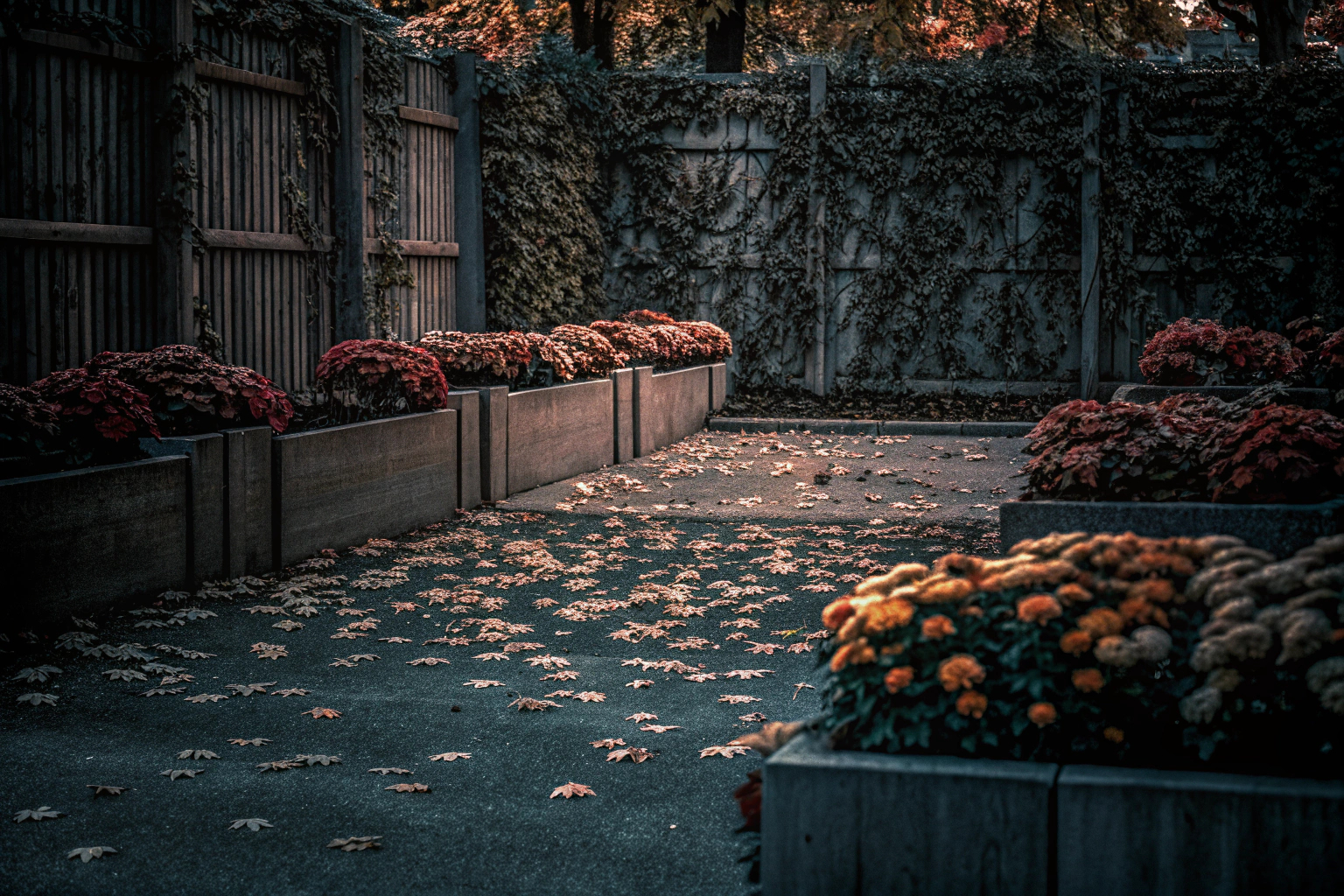Herbstgarten mit buntem Laub