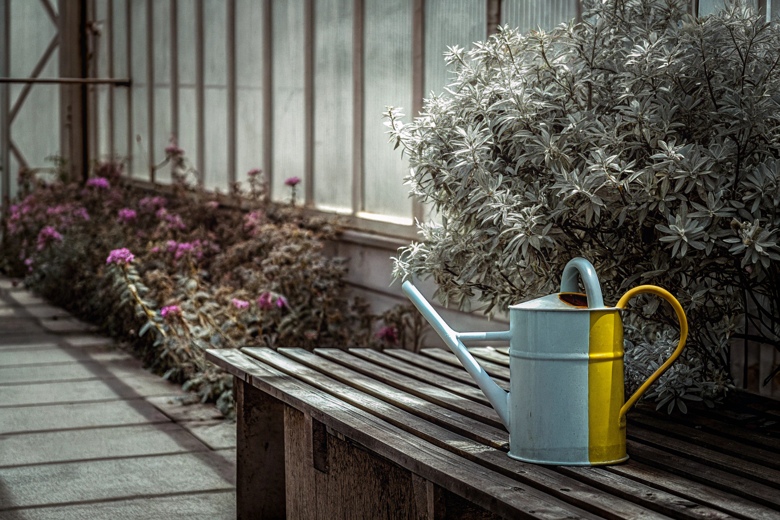 Große Gießkanne im Garten