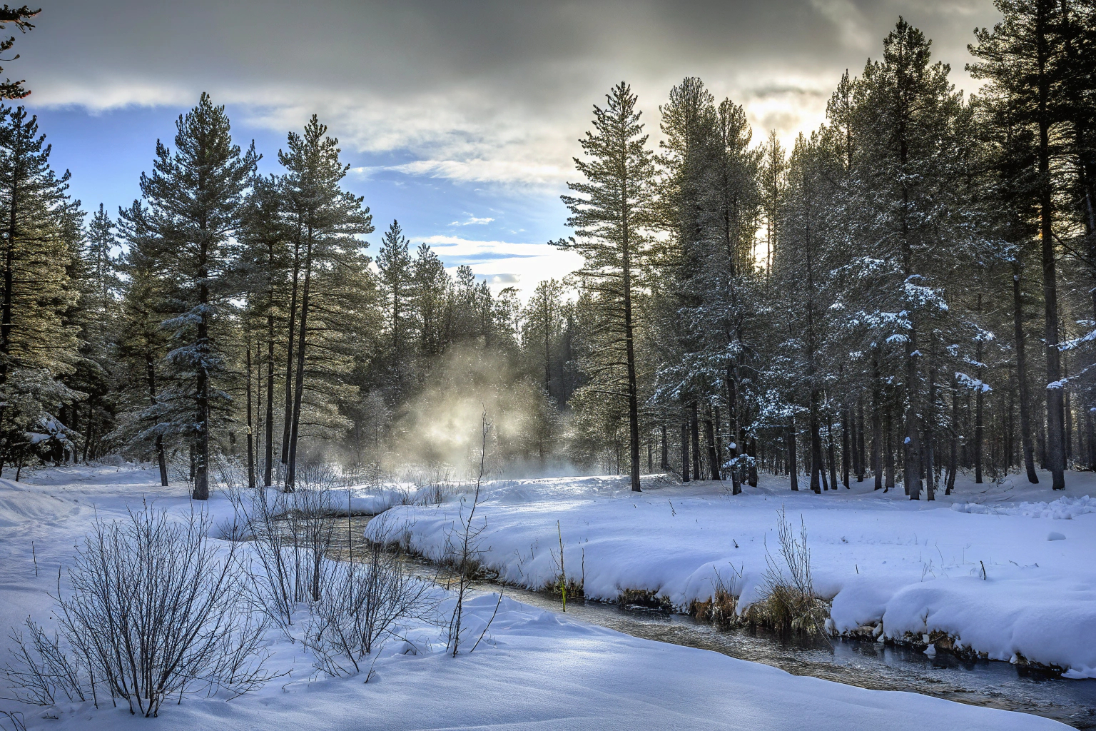 Winterwanderung durch verschneiten Wald