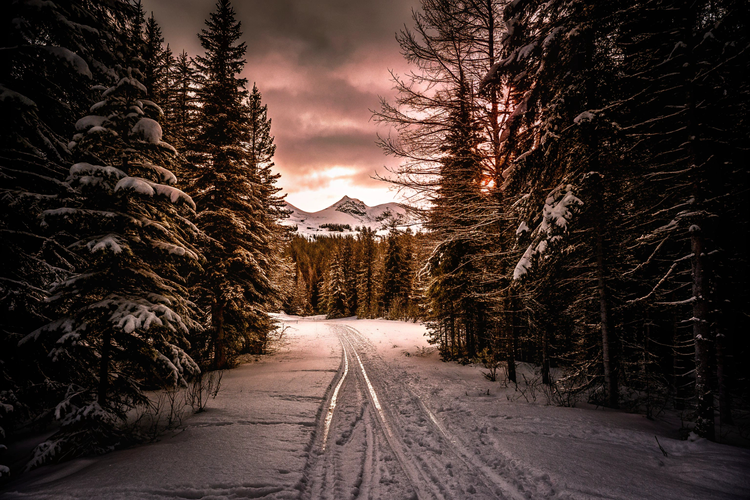 Verschneite Winterlandschaft mit Skifahrern