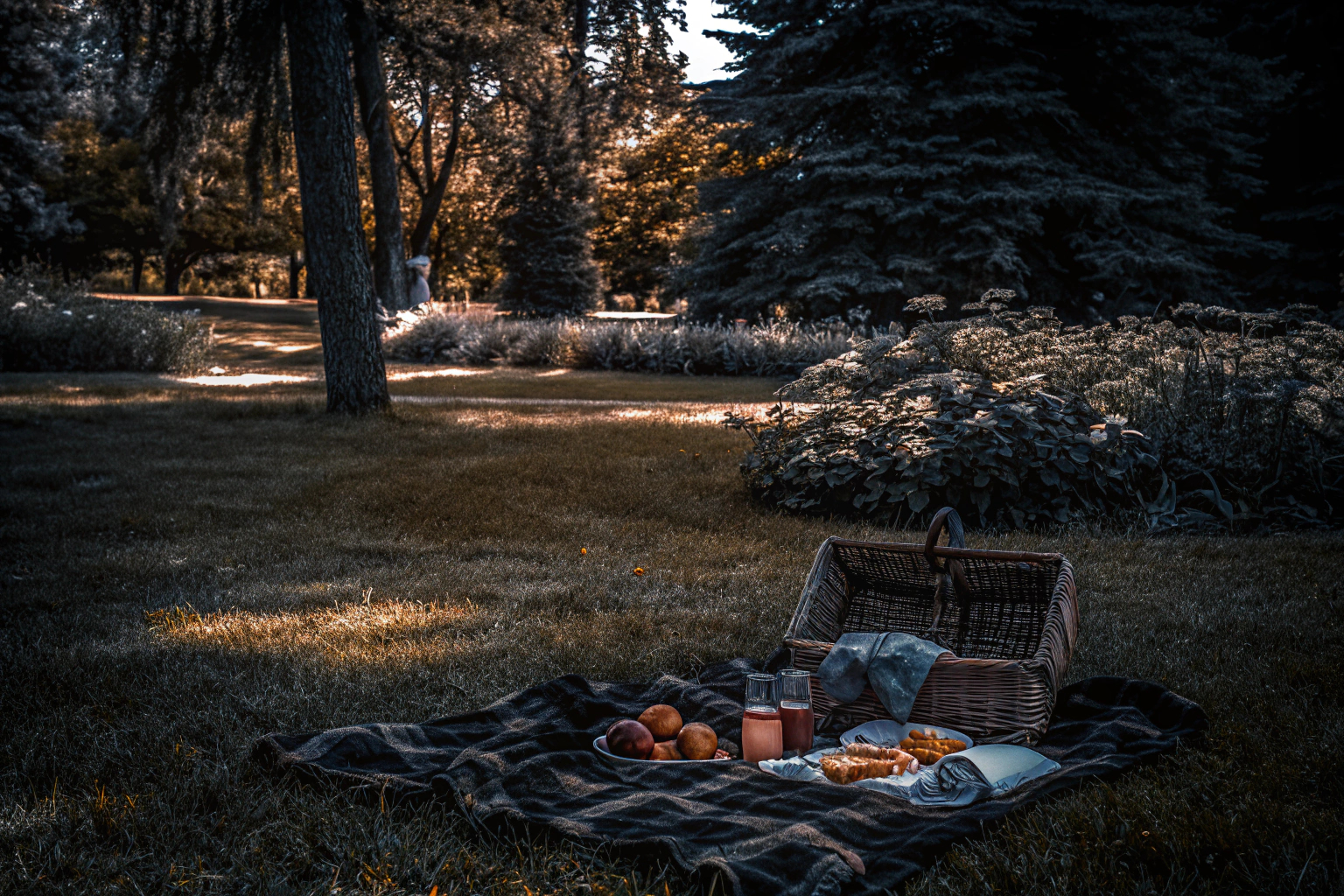 Picknick im Park