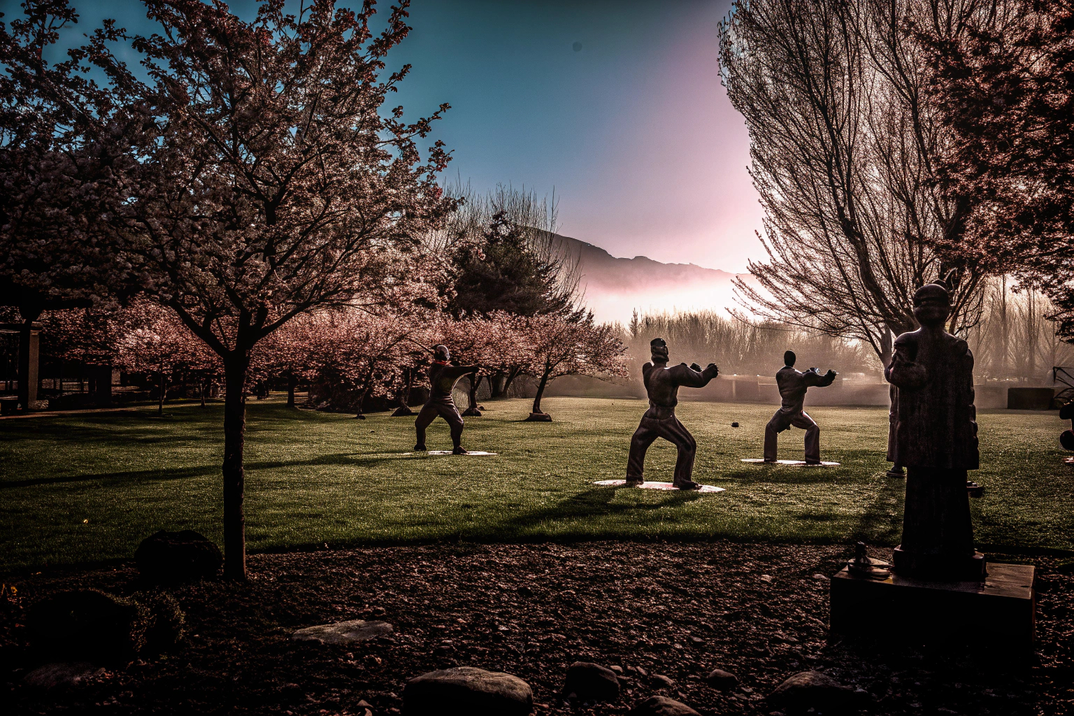 Tai Chi im Freien