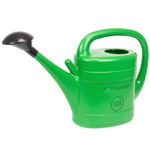 10 L Gießkanne mit Brause Spring Tülle