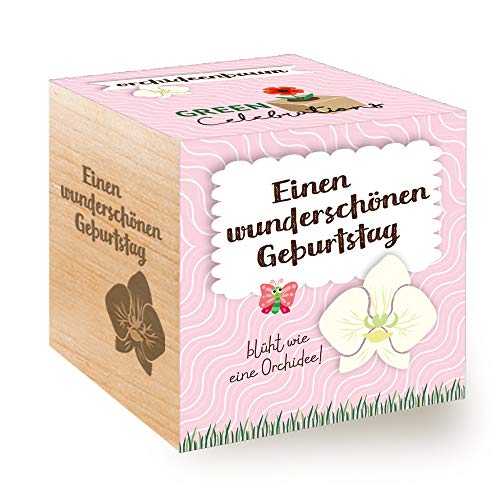 Feel Green 296572 Celebrations Ecocube, Orchideenbaum