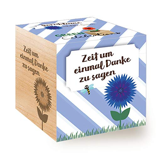 Feel Green 296695 Celebrations Ecocube, Kornblume Bio Samen