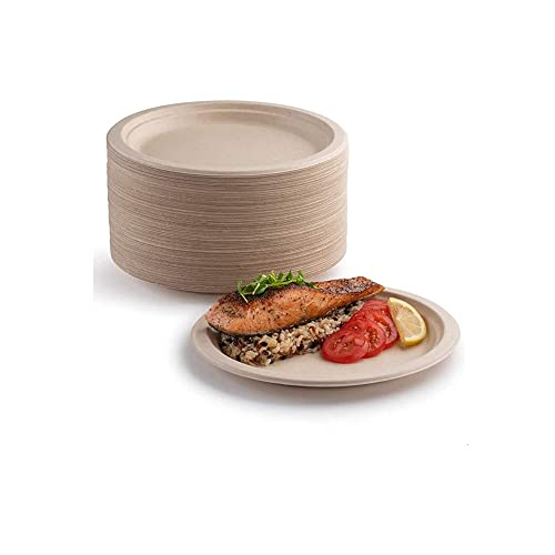 50 x Pappteller, 100 % biologisch abbaubar und kompostierbar