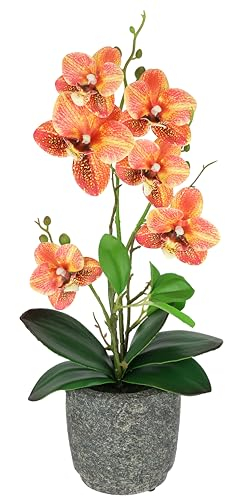 Kunstblume Schmetterling Orchidee