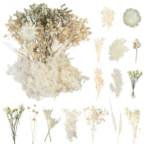 LAUMOE Getrocknete Blumen