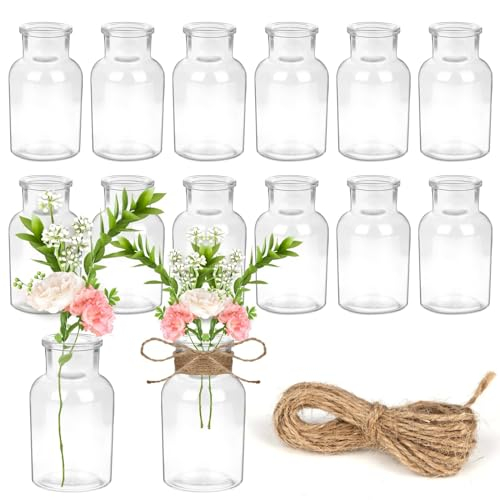 YSWOVUO 12er Set Glasvase