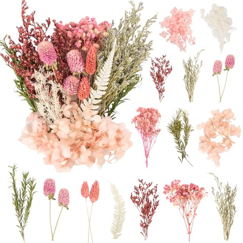 LAUMOE Getrocknete Blumen
