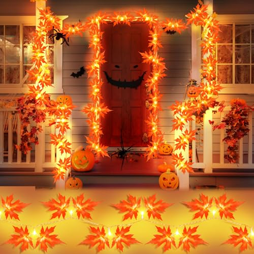 FFZZKJ Herbst Lichterkette